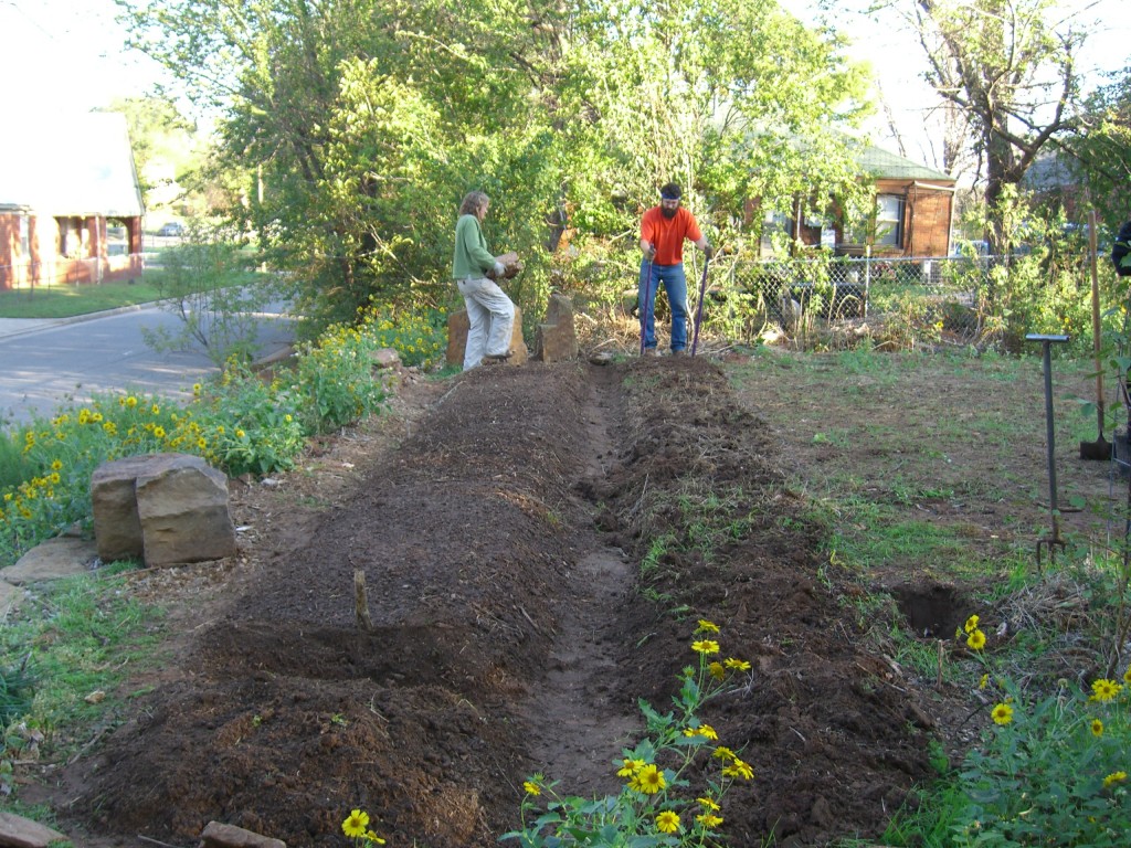 Bed preparation and planting