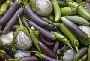 eggplant medley 