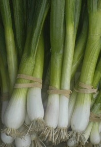 green onions bunched