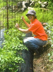 tomato cages & Sara