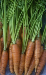 carrots, June