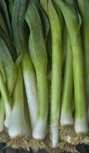 leeks, vertical