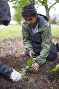 Benito planting@ lo-res