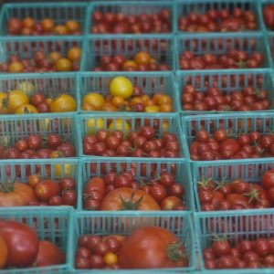 tomatoes in baskets