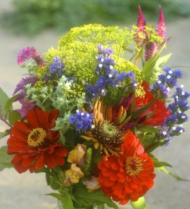 bouquet, red zinnias