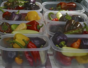 peppers in containers