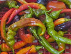 peppers, jimmy nardello