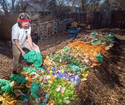 David empties a bag of fruit and vegetable cuttings onto a compost pile